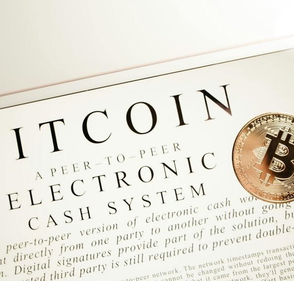 backlink campaign for visibility