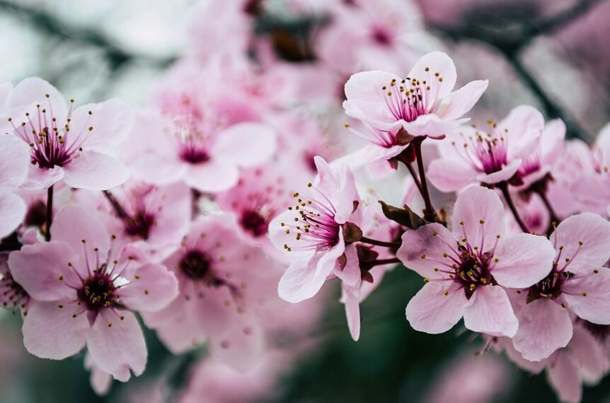 internal linking for growth